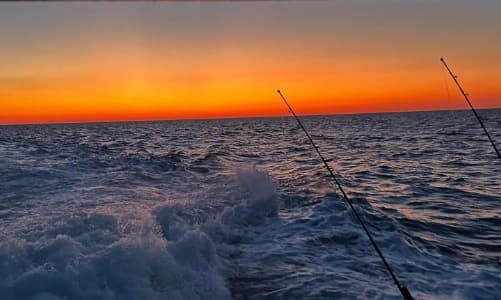 Inshore Trip