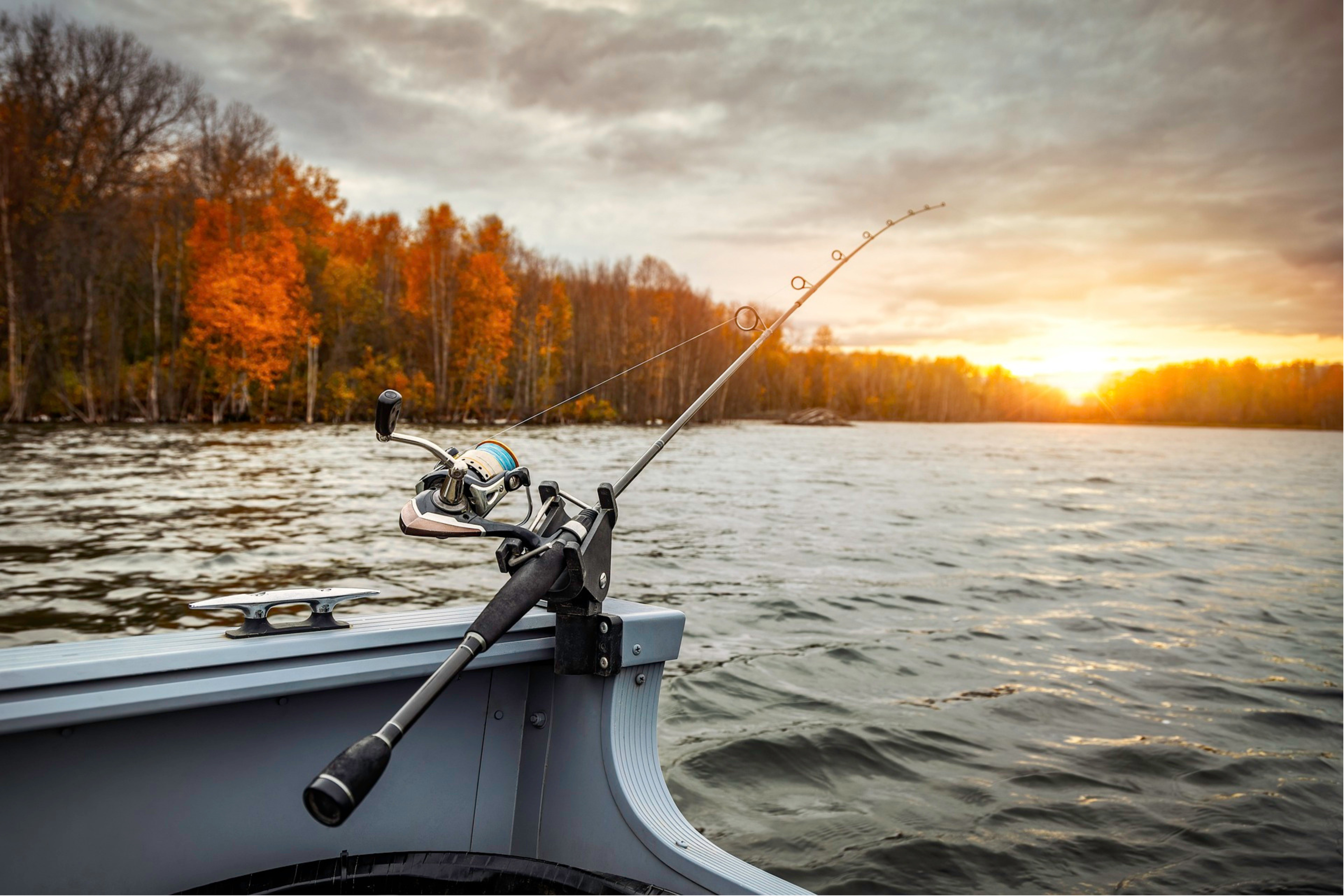 How to Choose the Right Fishing Gear for Your Trip